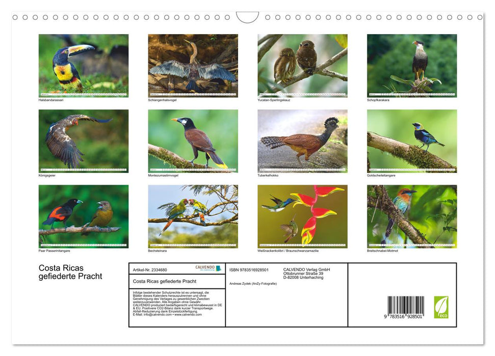 Costa Ricas gefiederte Pracht (CALVENDO Wandkalender 2027)