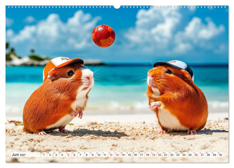 Meerschweinchen - Hauptsache Urlaub (CALVENDO Wandkalender 2027)