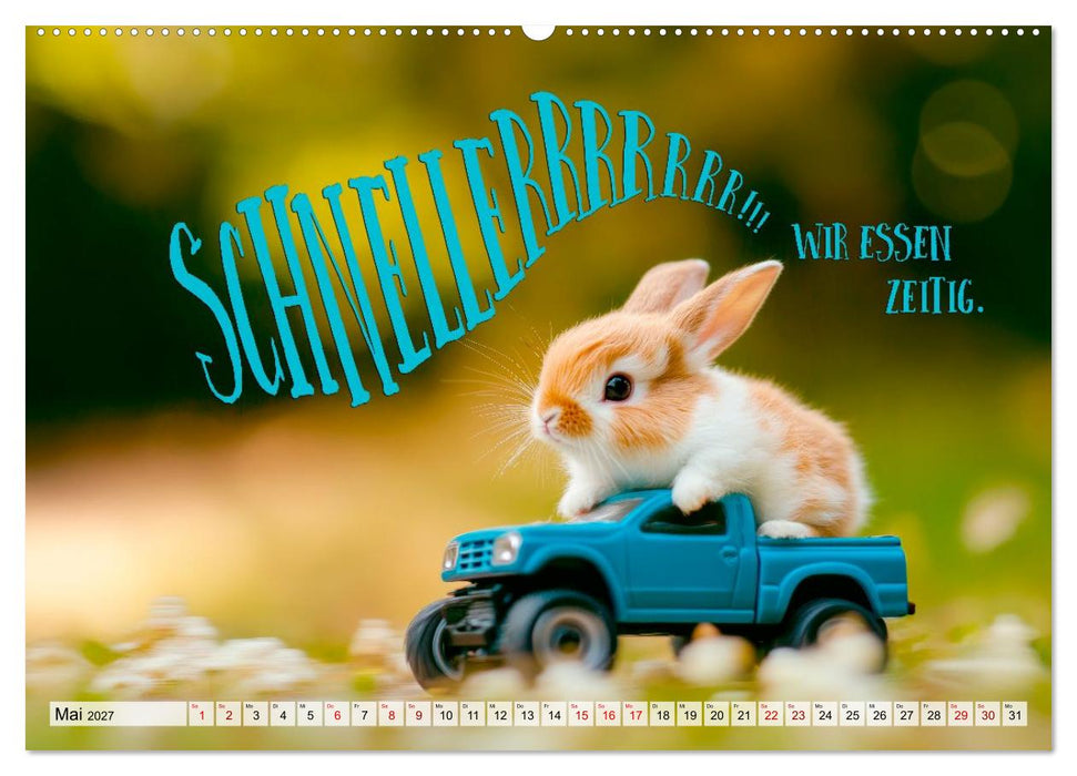 KANINCHEN Mit Humor durchs Jahr (CALVENDO Wandkalender 2027)