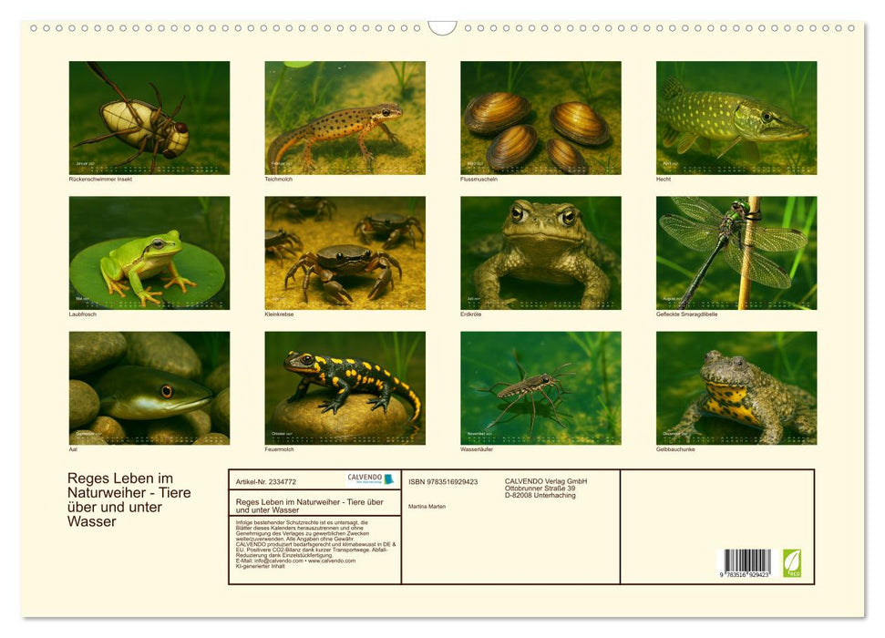 Reges Leben im Naturweiher - Tiere über und unter Wasser (CALVENDO Wandkalender 2027)