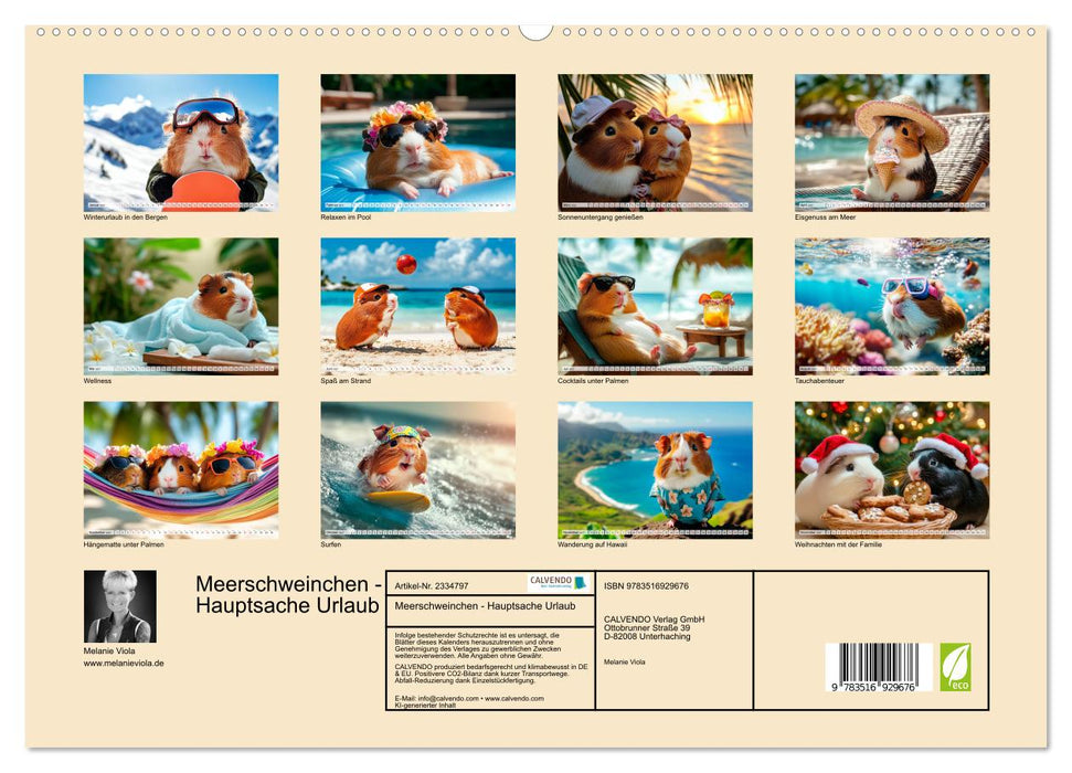 Meerschweinchen - Hauptsache Urlaub (CALVENDO Premium Wandkalender 2027)