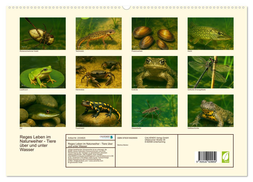Reges Leben im Naturweiher - Tiere über und unter Wasser (CALVENDO Premium Wandkalender 2027)