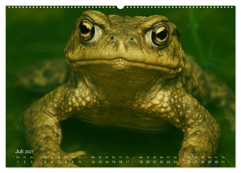 Reges Leben im Naturweiher - Tiere über und unter Wasser (CALVENDO Premium Wandkalender 2027)