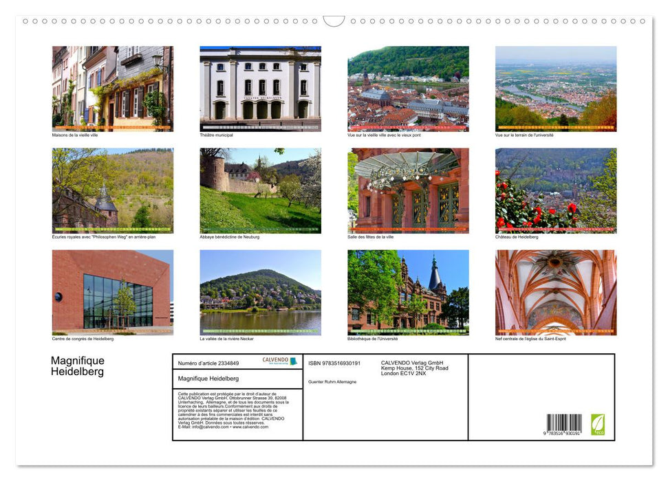 Magnifique Heidelberg (CALVENDO Calendrier mensuel 2027)