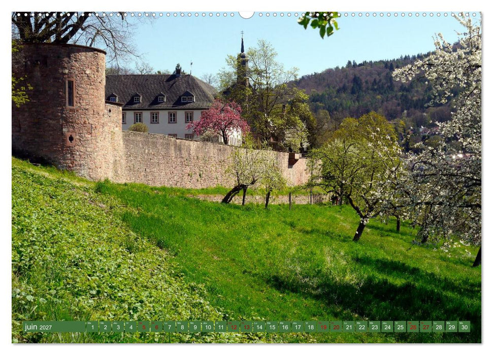 Magnifique Heidelberg (CALVENDO Calendrier mensuel 2027)