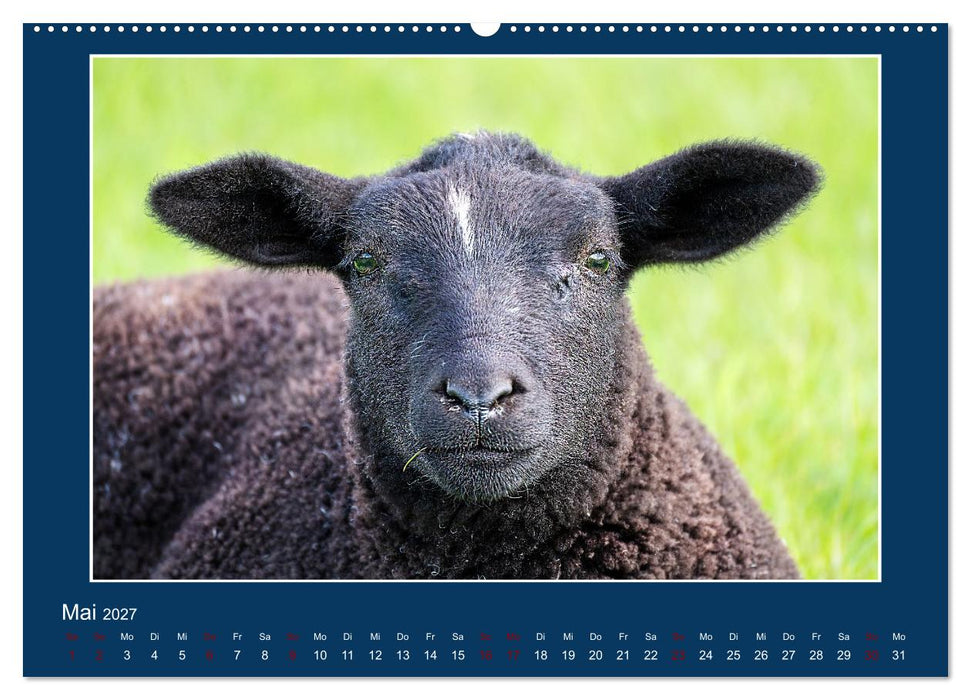 Dangast. Impressionen eines besonderen Ortes. (CALVENDO Wandkalender 2027)