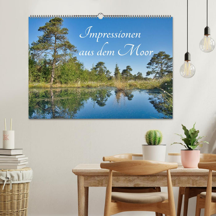 Impressionen aus dem Moor (CALVENDO Wandkalender 2027)