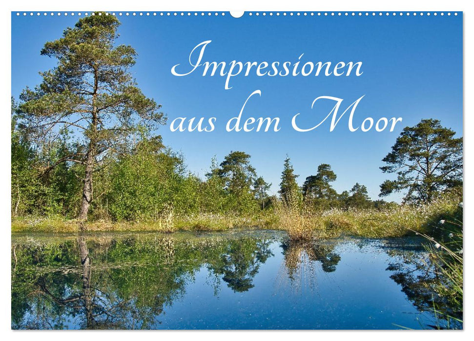 Impressionen aus dem Moor (CALVENDO Wandkalender 2027)