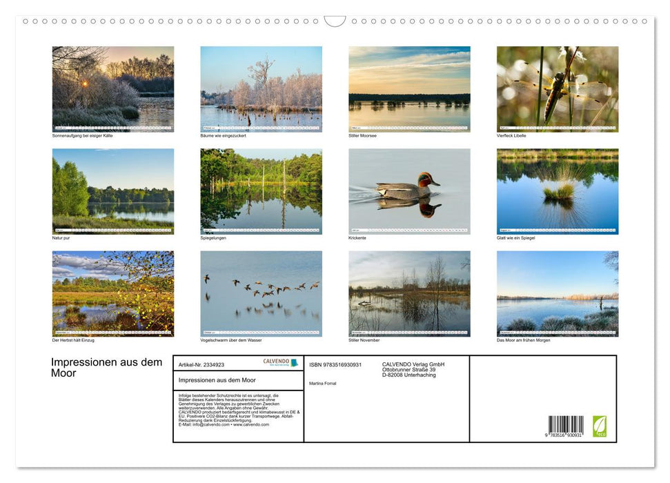 Impressionen aus dem Moor (CALVENDO Wandkalender 2027)
