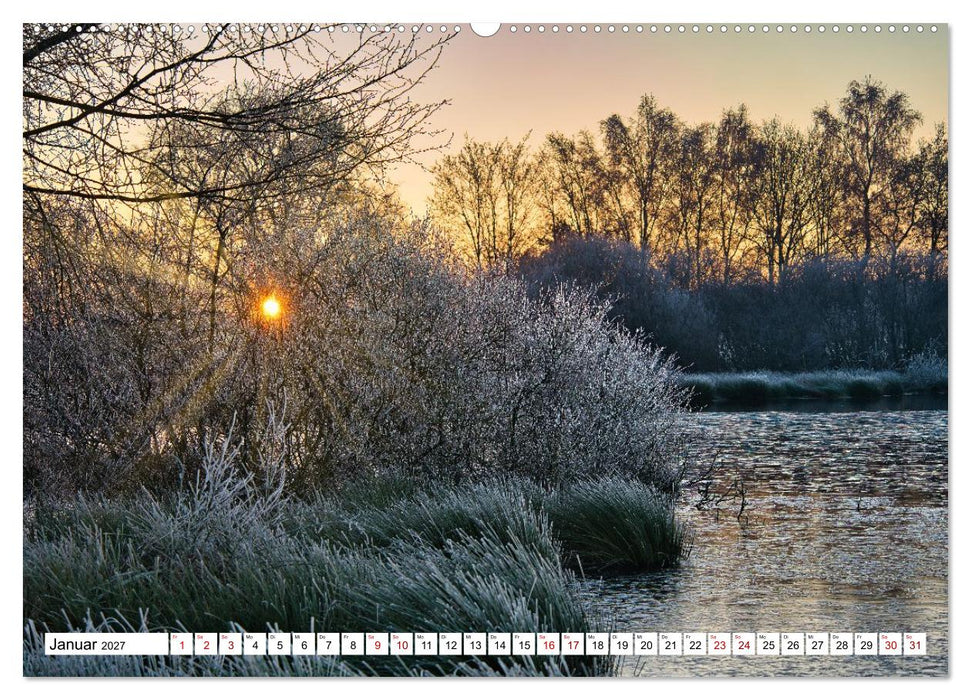 Impressionen aus dem Moor (CALVENDO Wandkalender 2027)
