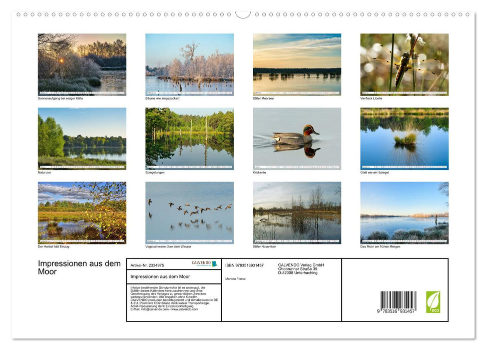 Impressionen aus dem Moor (CALVENDO Premium Wandkalender 2027)