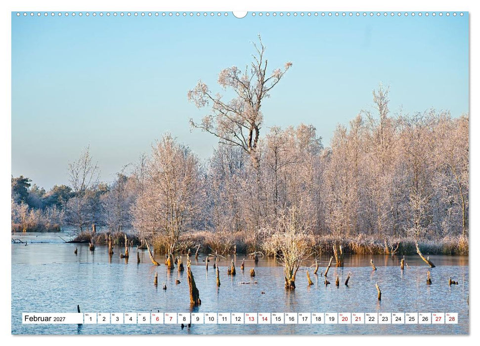 Impressionen aus dem Moor (CALVENDO Premium Wandkalender 2027)