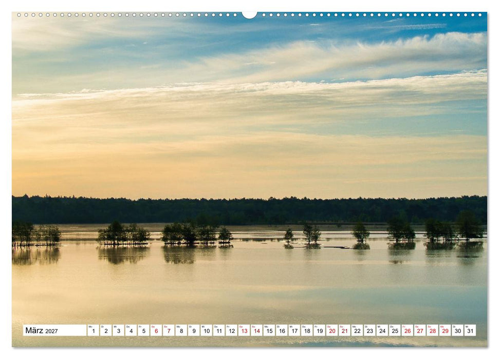 Impressionen aus dem Moor (CALVENDO Premium Wandkalender 2027)