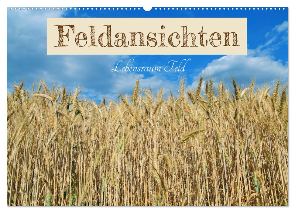 Feldansichten (CALVENDO Wandkalender 2027)