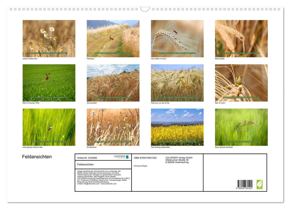 Feldansichten (CALVENDO Wandkalender 2027)