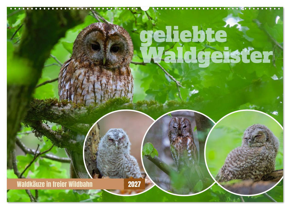 geliebte Waldgeister (CALVENDO Wandkalender 2027)