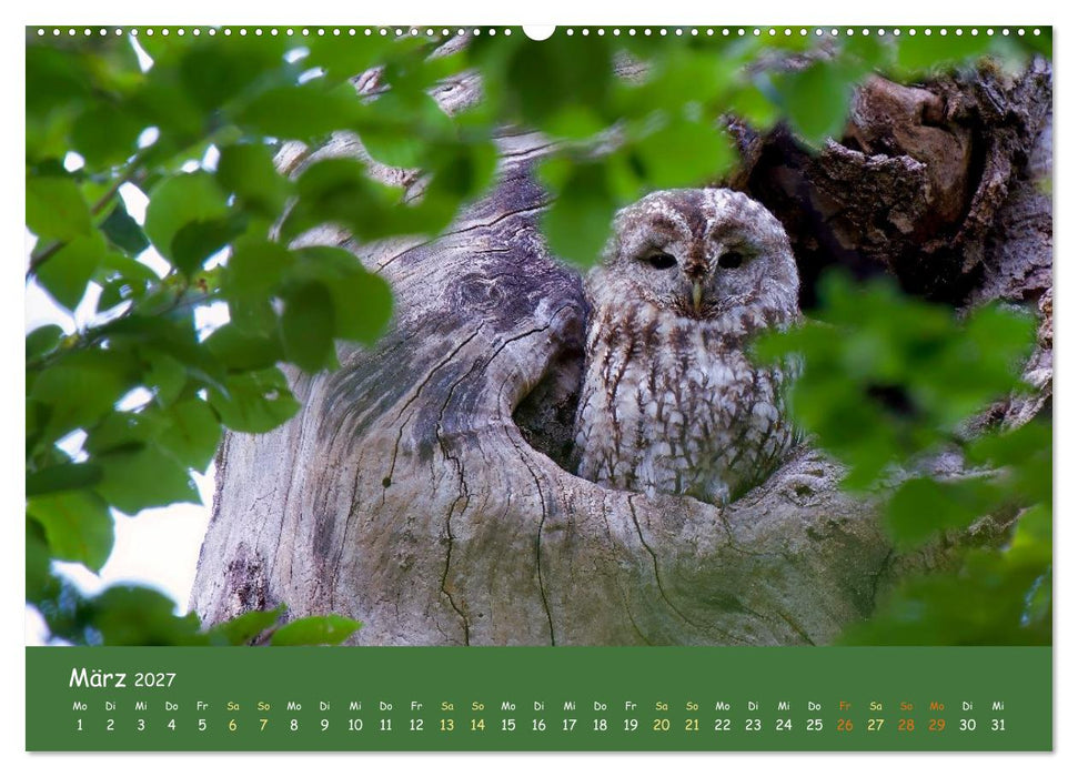 geliebte Waldgeister (CALVENDO Wandkalender 2027)