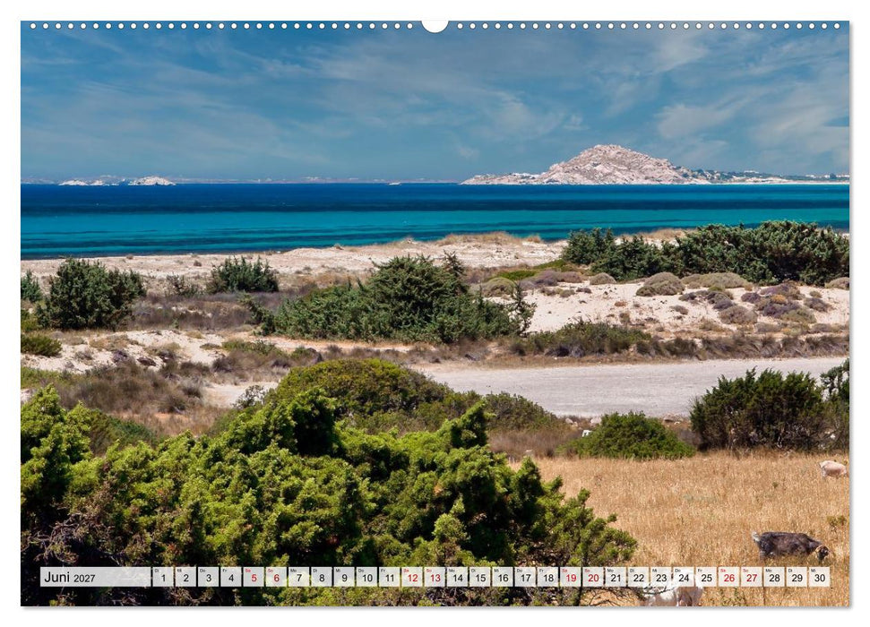 Die Insel Naxos - Ein Traum in blau und weiß (CALVENDO Premium Wandkalender 2027)