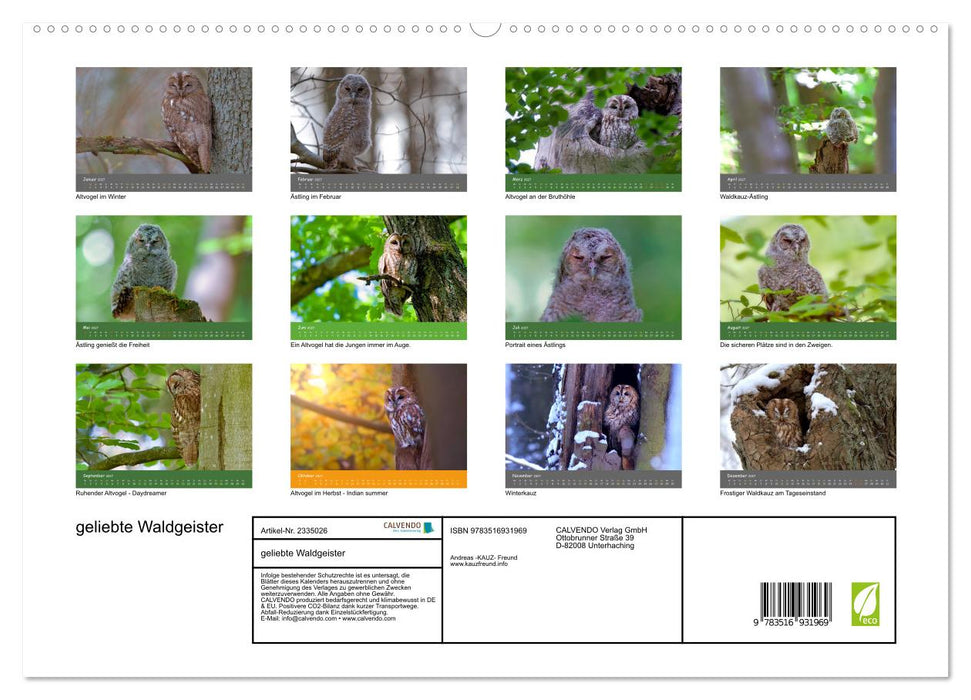 geliebte Waldgeister (CALVENDO Premium Wandkalender 2027)