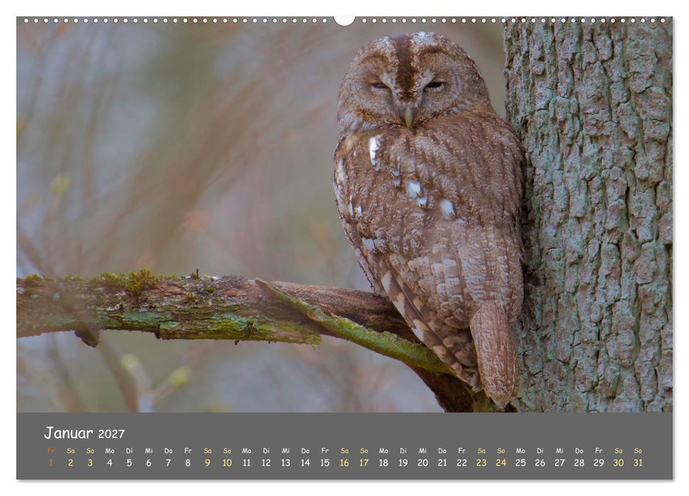 geliebte Waldgeister (CALVENDO Premium Wandkalender 2027)