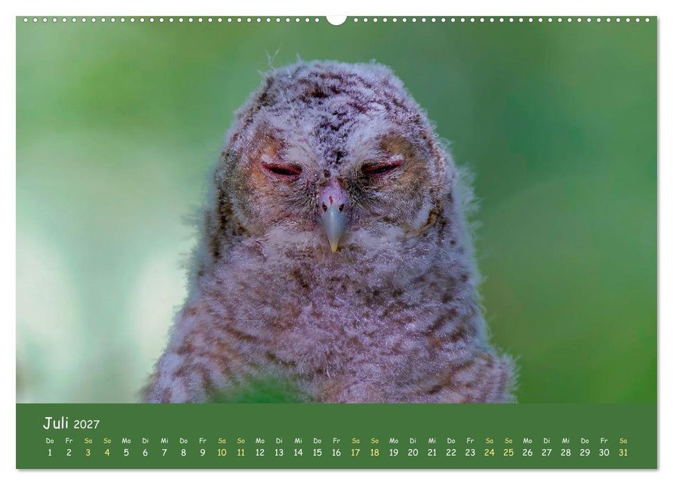 geliebte Waldgeister (CALVENDO Premium Wandkalender 2027)