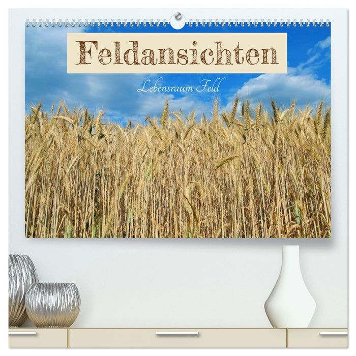 Feldansichten (CALVENDO Premium Wandkalender 2027)