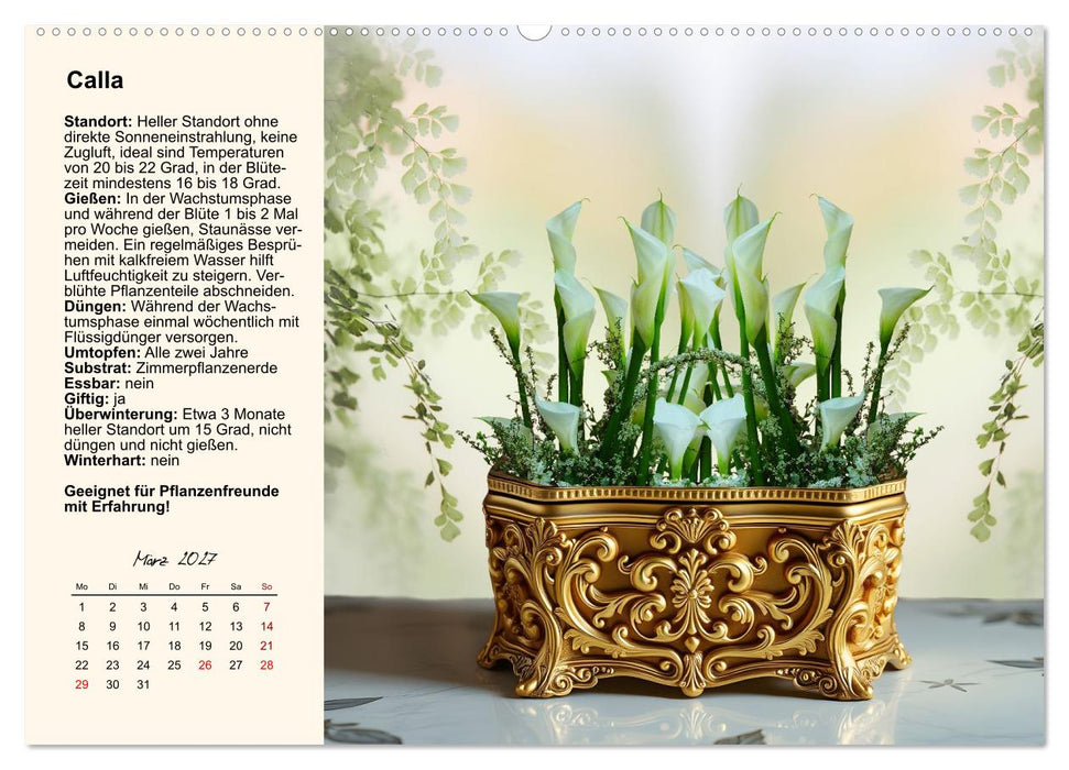 Bestes Raumklima durch Zimmerpflanzen (CALVENDO Premium Wandkalender 2 —  calvendoverlag