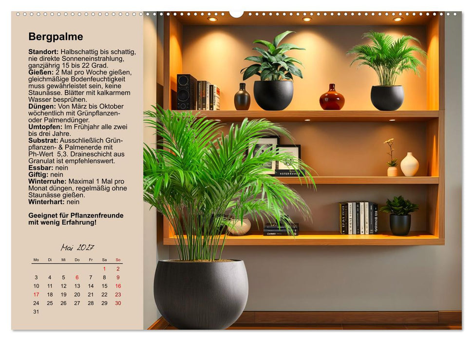 Bestes Raumklima durch Zimmerpflanzen (CALVENDO Premium Wandkalender 2 —  calvendoverlag