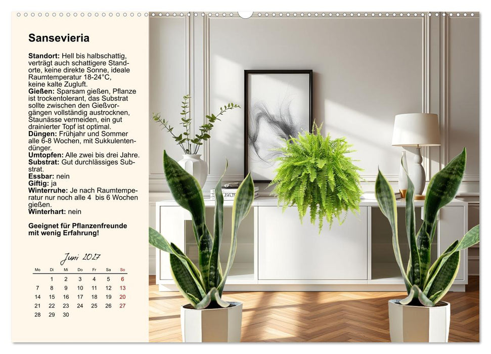 Bestes Raumklima durch Zimmerpflanzen (CALVENDO Premium Wandkalender 2027)