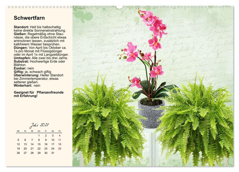 Bestes Raumklima durch Zimmerpflanzen (CALVENDO Premium Wandkalender 2027)