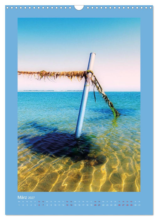 Mein Amrum (CALVENDO Wandkalender 2027)