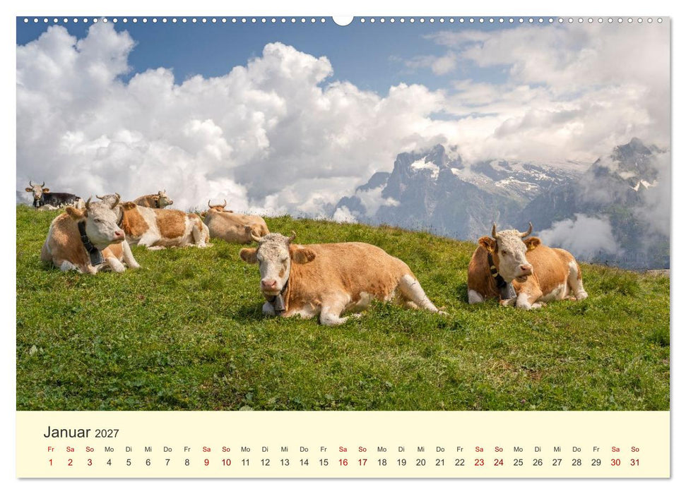 Schweiz - Die grüne Lunge Europas (CALVENDO Premium Wandkalender 2027)