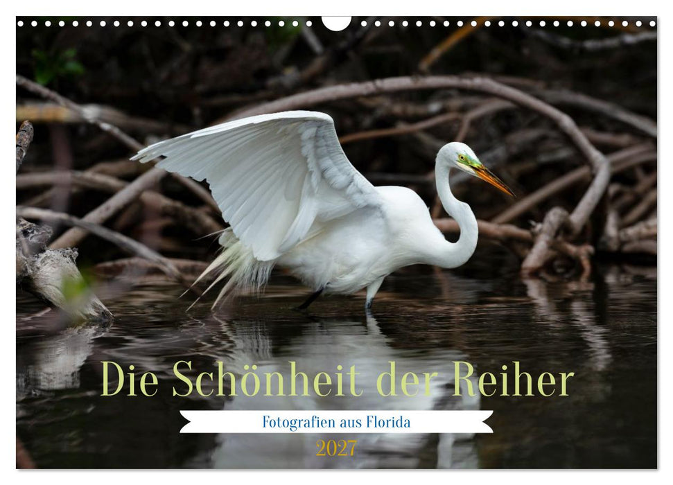 Die Schönheit der Reiher (CALVENDO Wandkalender 2027)