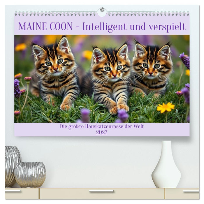 Maine Coon - Intelligent und verspielt (CALVENDO Premium Wandkalender 2027)