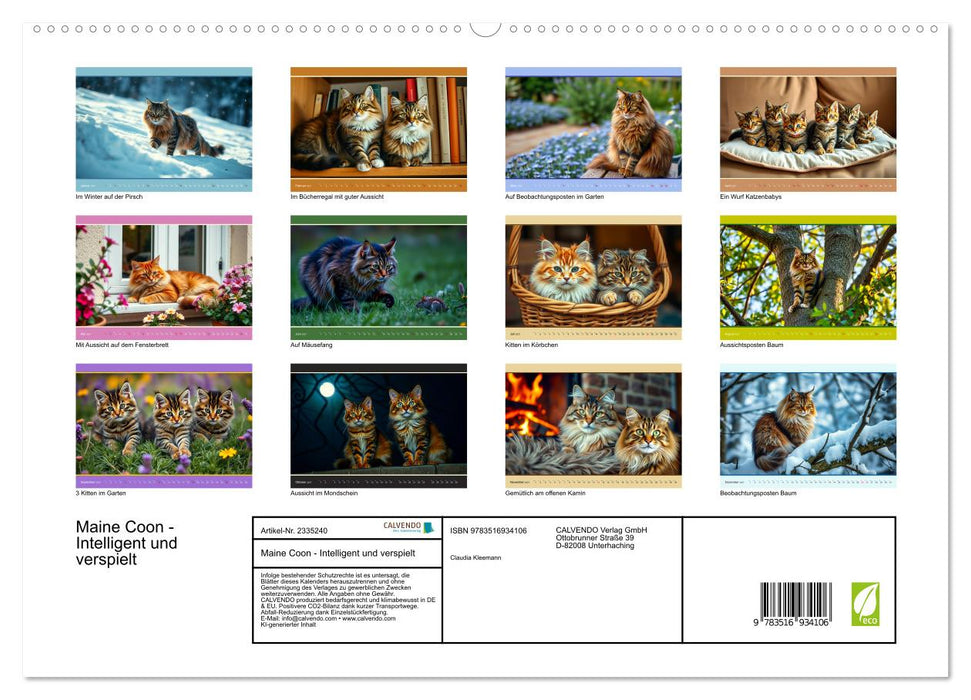 Maine Coon - Intelligent und verspielt (CALVENDO Premium Wandkalender 2027)