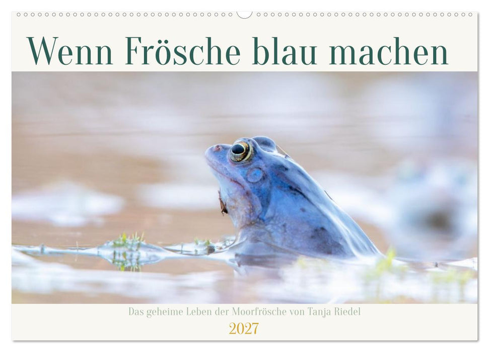 Wenn Frösche blau machen - das geheime Leben der Moorfrösche von Tanja Riedel (CALVENDO Wandkalender 2027)