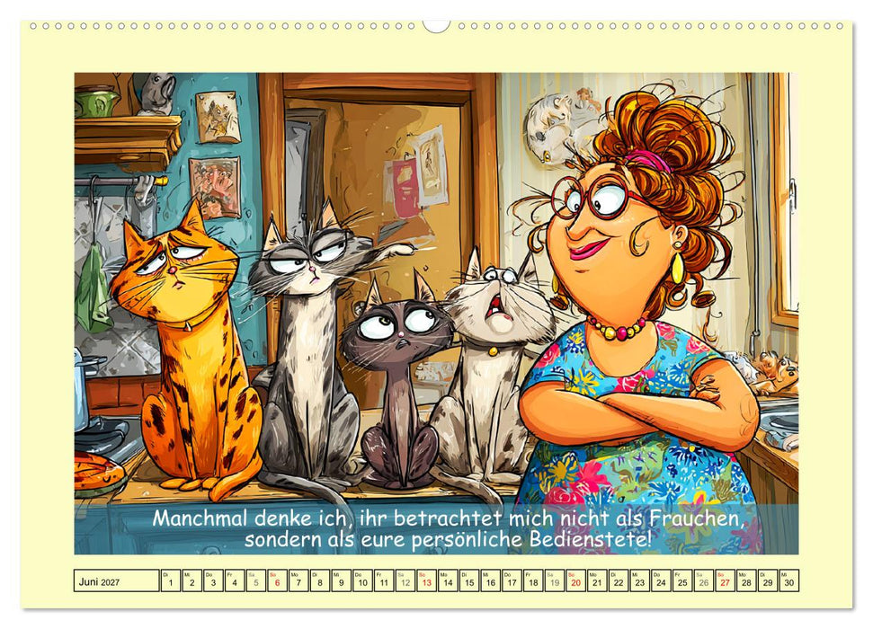 Katzen und Frauen. Lustige Cartoons vom täglichen Chaos (CALVENDO Wandkalender 2027)