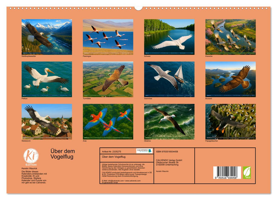 Über dem Vogelflug (CALVENDO Premium Wandkalender 2027)
