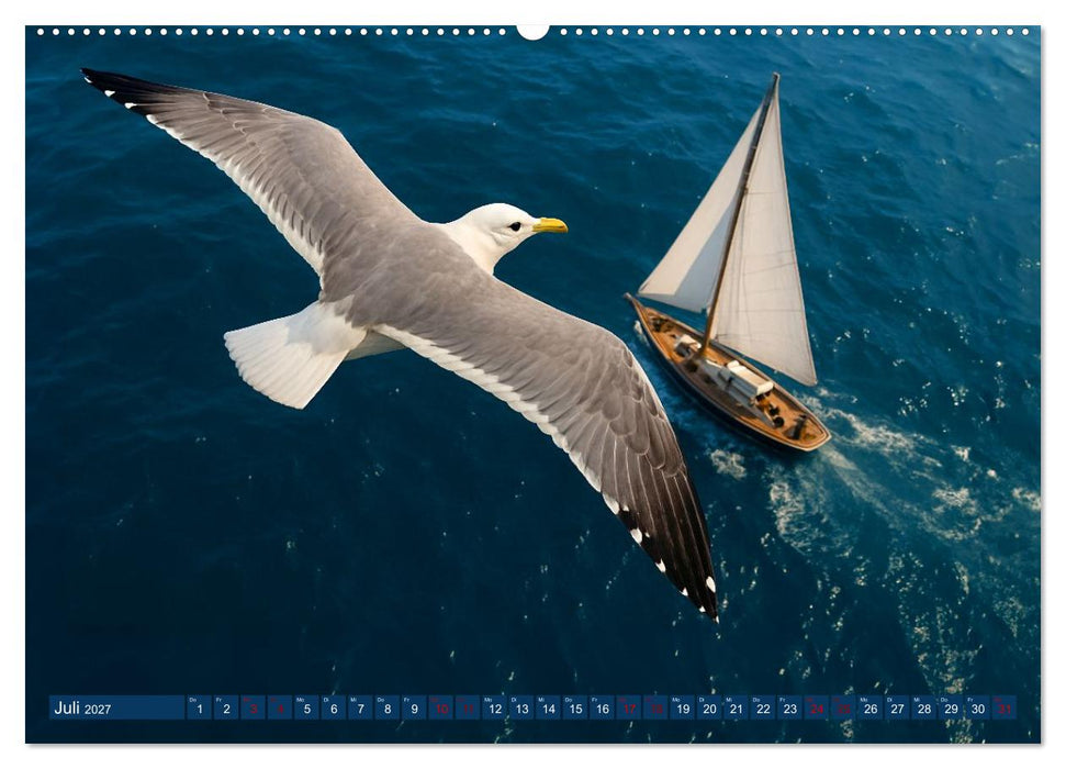 Über dem Vogelflug (CALVENDO Premium Wandkalender 2027)