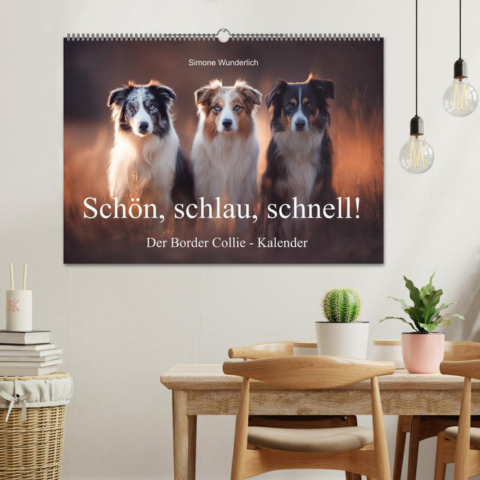 Schön, schlau, schnell! - Der Border Collie - Kalender (CALVENDO Wandkalender 2027)