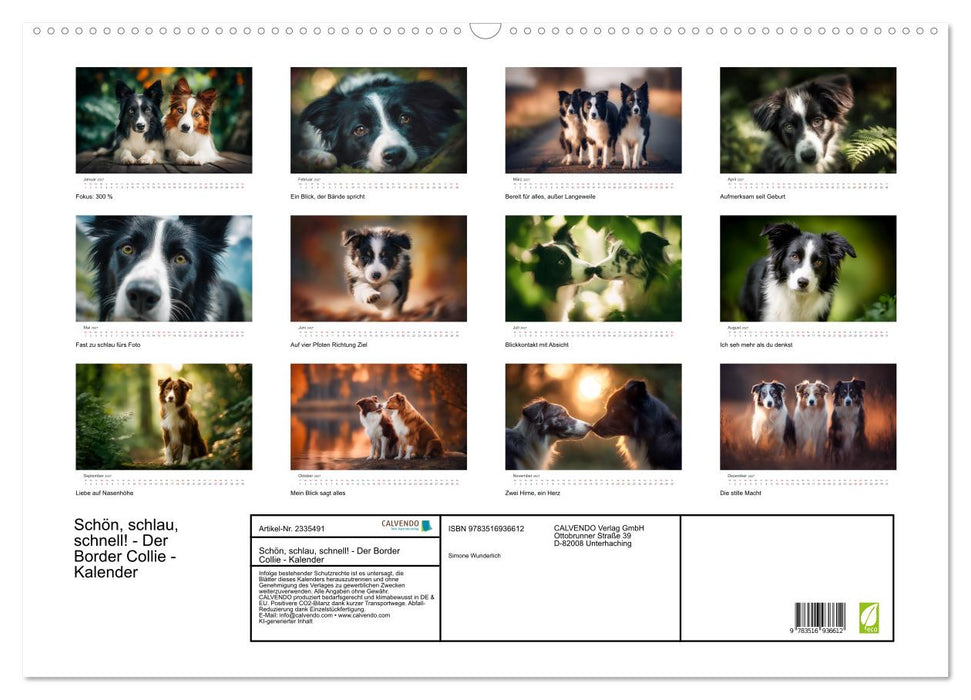 Schön, schlau, schnell! - Der Border Collie - Kalender (CALVENDO Wandkalender 2027)
