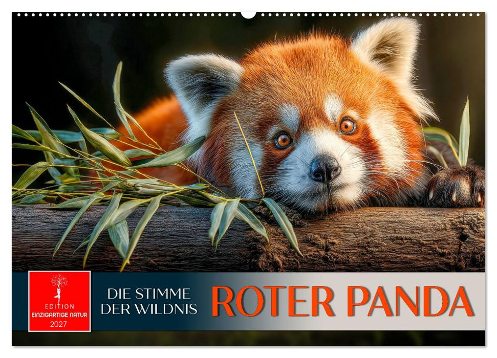 Roter Panda - die Stimme der Wildnis (CALVENDO Wandkalender 2027)