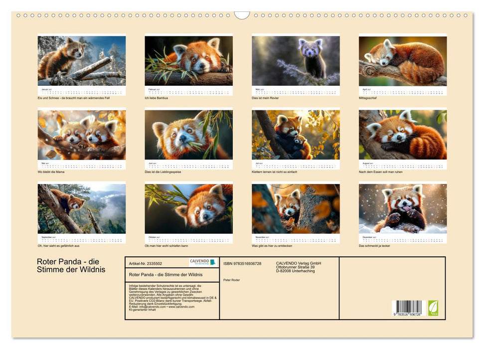 Roter Panda - die Stimme der Wildnis (CALVENDO Wandkalender 2027)