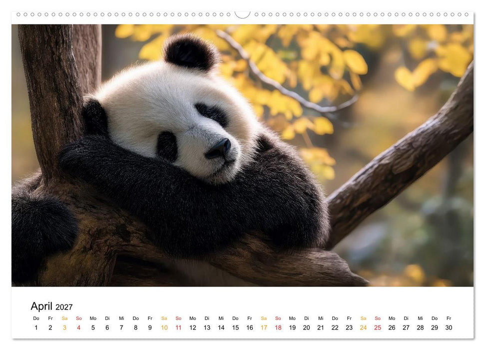 Panda - die Stimme der Wildnis (CALVENDO Premium Wandkalender 2027)
