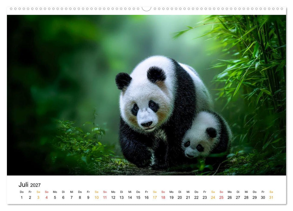 Panda - die Stimme der Wildnis (CALVENDO Premium Wandkalender 2027)