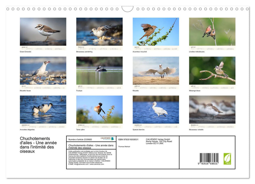 Chuchotements d'ailes - Une année dans l'intimité des oiseaux (CALVENDO Calendrier mensuel 2027)