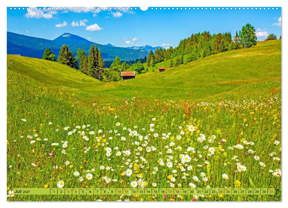 Die Buckelwiesen im Oberen Isartal (CALVENDO Premium Wandkalender 2027)