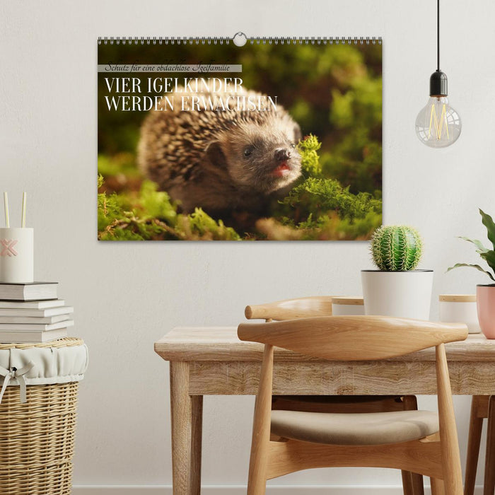 Schutz für eine obdachlose Igelfamilie - Vier Igelkinder werden erwachsen. (CALVENDO Wandkalender 2027)
