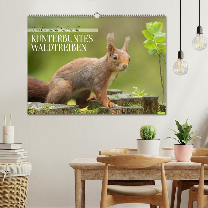 Das Eurasische Eichhörnchen - Kunterbuntes Waldtreiben (CALVENDO Wandkalender 2027)