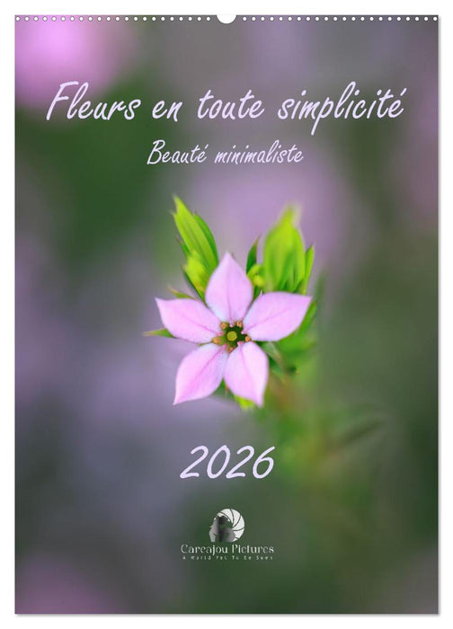 Fleurs en toute simplicité - Beauté minimaliste (CALVENDO Calendrier mensuel 2027)